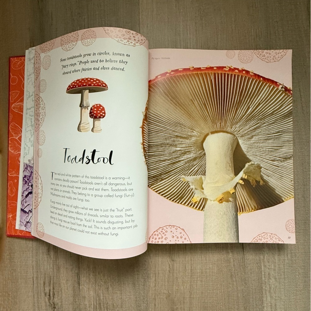 DK Anthology The Emporium of Wonders Bold Red Hardcover Children’s Book - Picture 8 of 9